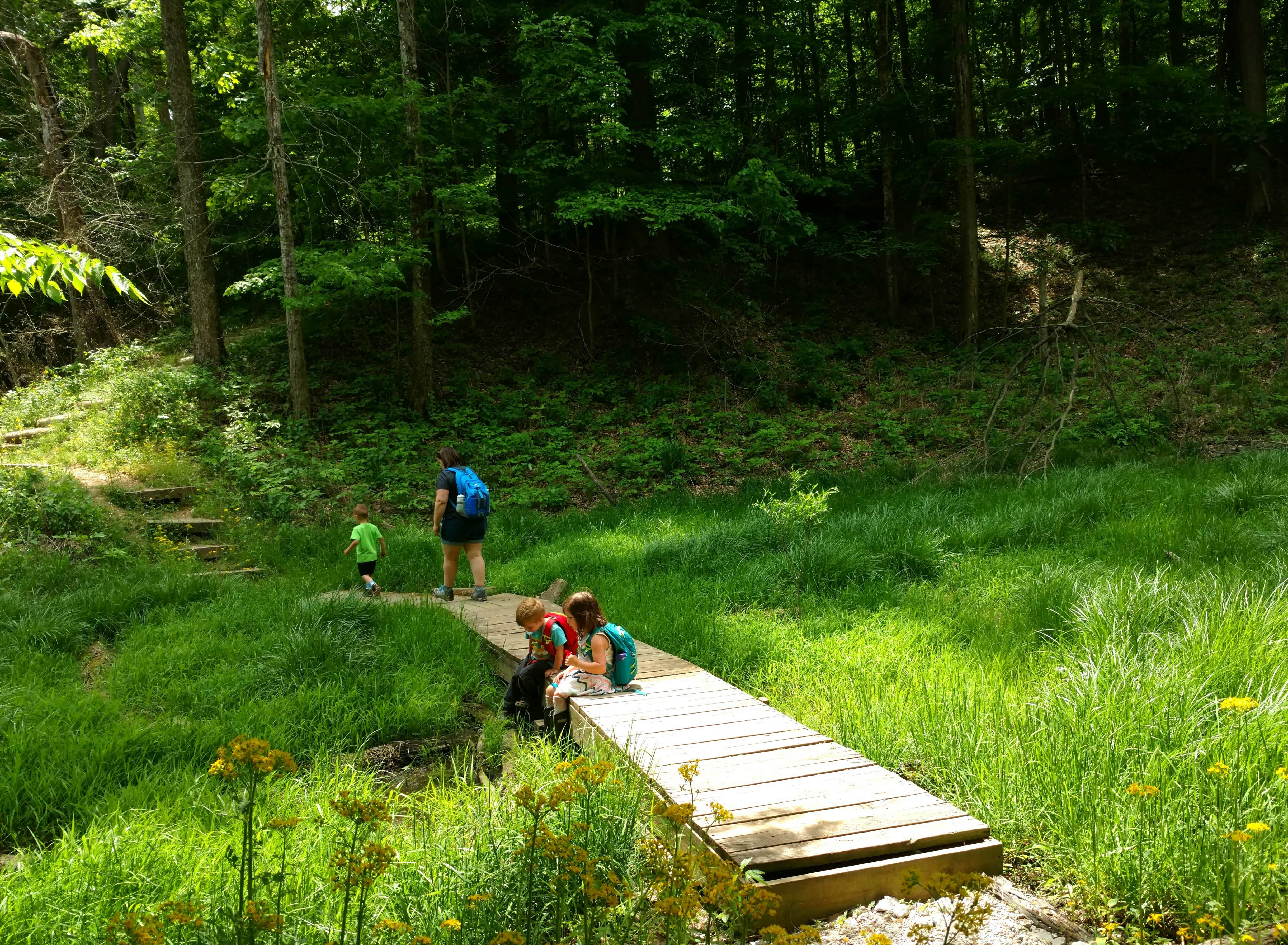 Camper submitted image from Cecil M Harden Lake Raccoon State Recreation Area - 4