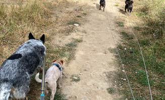 Shelly S.'s photo of camping with pets at Gilmore Campground — Farragut State Park near Coeur d'Alene, ID