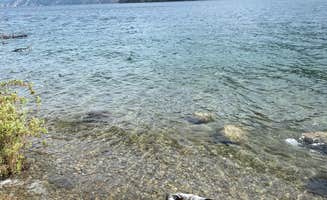 Shelly S.'s photo of camping with pets at Gilmore Campground — Farragut State Park near Sandpoint, ID