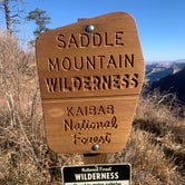 Review photo of Saddle Mountain (Kaibab NF) by Ben P., November 6, 2020
