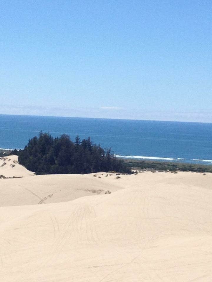 Camper submitted image from Winchester Bay RV Resort - 5