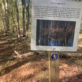 Review photo of Forkland Campground by Raymond B., November 6, 2020