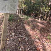 Review photo of Forkland Campground by Raymond B., November 6, 2020