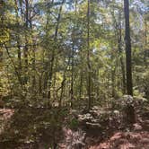 Review photo of Forkland Campground by Raymond B., November 6, 2020