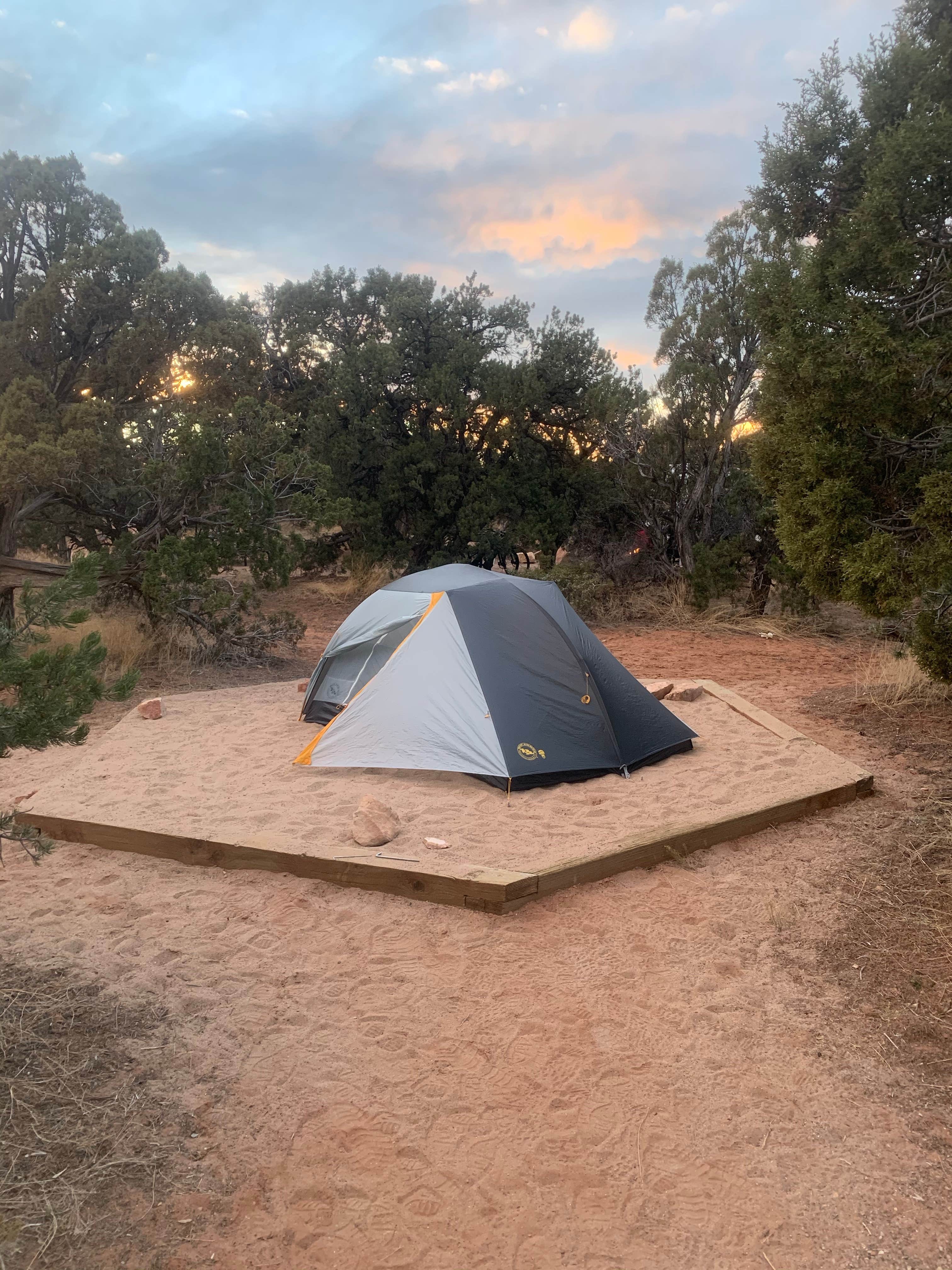 Camper submitted image from Natural Bridges Campground - 5