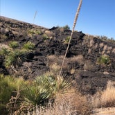 Review photo of Valley Of Fires Recreation Area by Bradley H., November 6, 2020