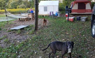 Jen R.'s photo at Camp Starry Night at Gulyan Farms near Oxford, NJ