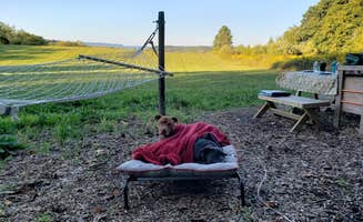 Jen R.'s photo of camping with pets at Camp Starry Night at Gulyan Farms near Morristown, NJ