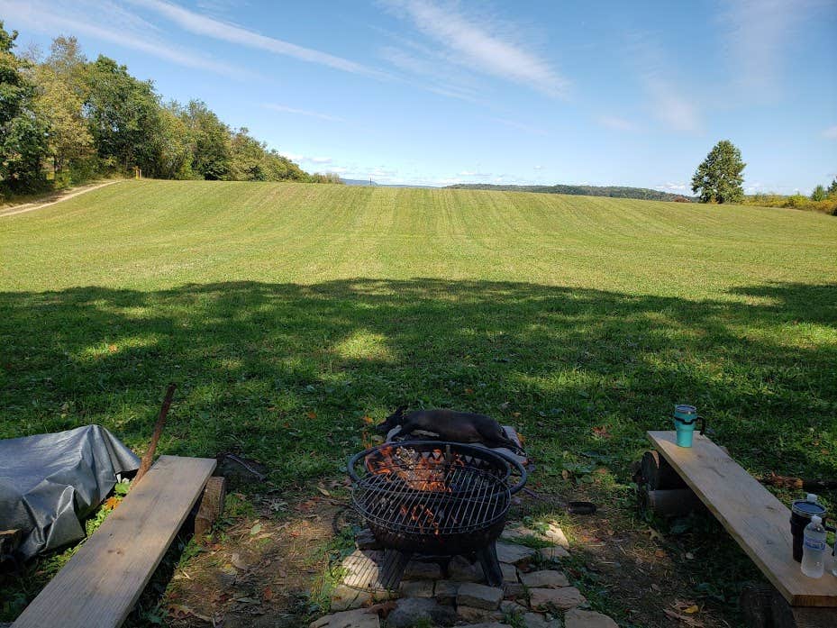 Jen R.'s photo at Camp Starry Night at Gulyan Farms near Bethlehem, NJ