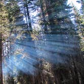 Review photo of Upper Stony Creek Campground — Sequoia National Forest by Patricia O., May 23, 2018