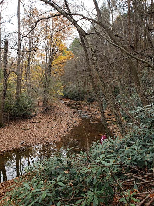 Camper submitted image from Cabin at Raystown Lake - 5