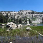Review photo of Stony Creek Campground - Sequoia National Forest by Patricia O., May 23, 2018