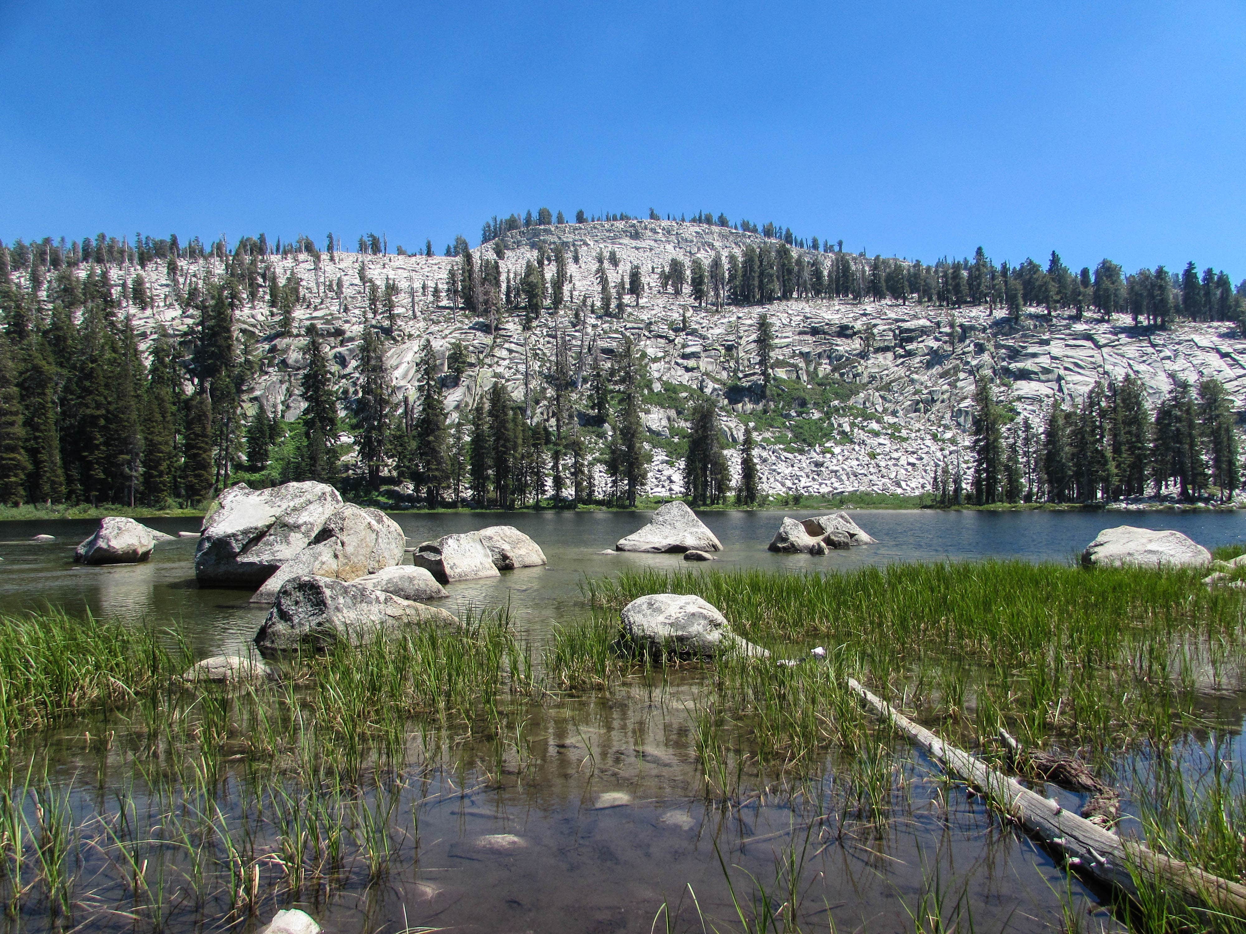 Camper submitted image from Upper Stony Creek Campground — Sequoia National Forest - 4