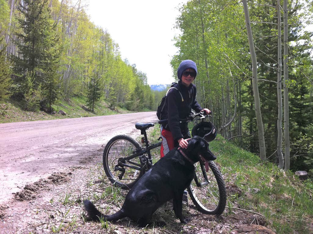 Camping near Hahns Peak Lake Campground: USFSR 550 - Dispersed Camping, Clark, Colorado