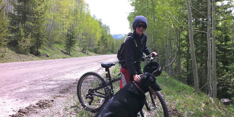 Camper submitted image from USFSR 550 - Dispersed Camping