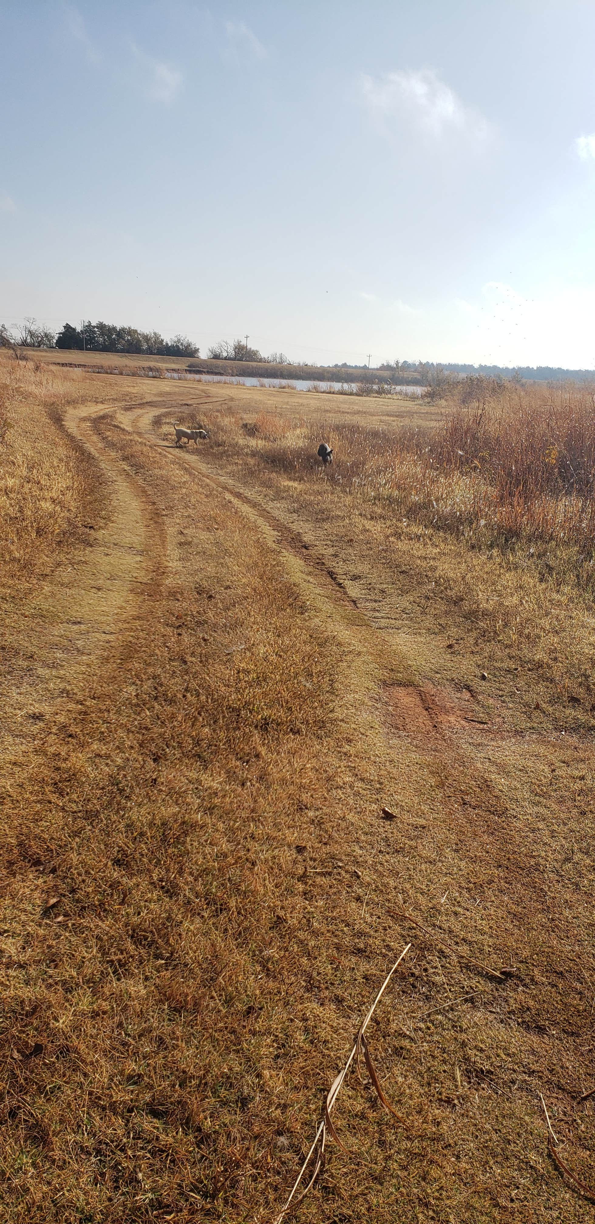 Camper submitted image from Perry Lake Campground - 3