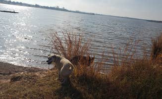 Chelsea R.'s photo of camping with pets at Perry Lake Campground near Kaw Lake