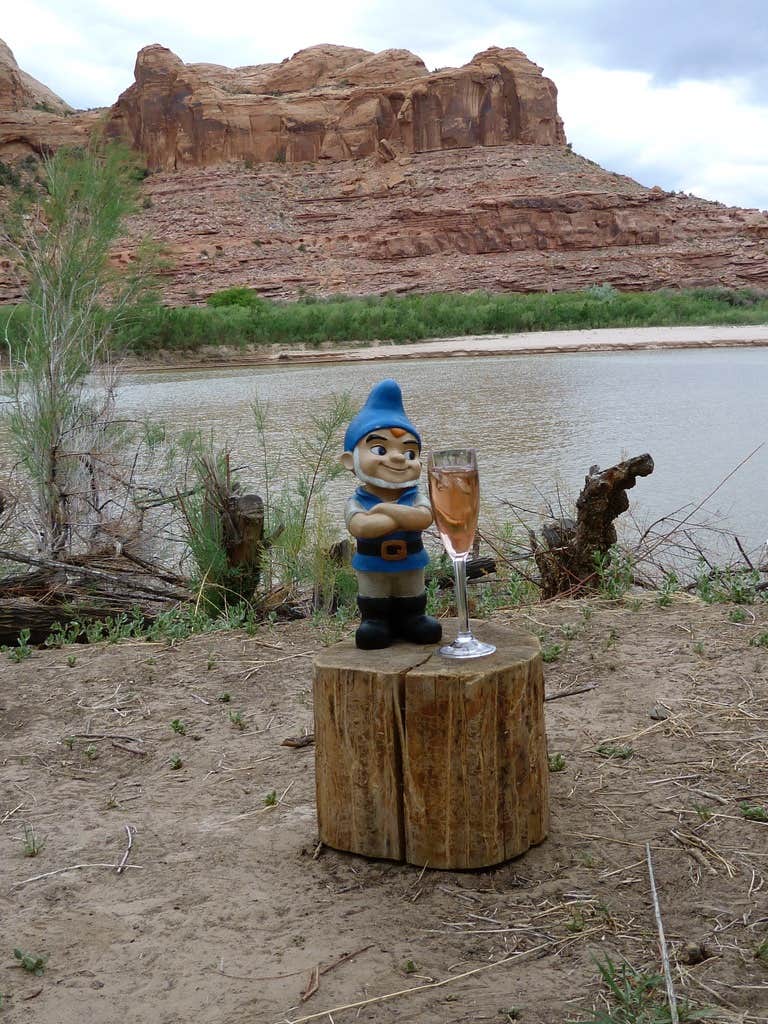 Camping near The Ledge Campground: Williams Bottom Campground, Moab, Utah