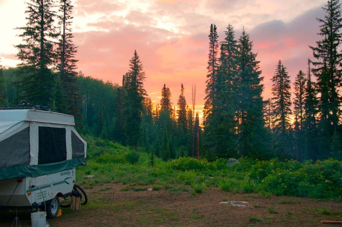 Morgan Y.'s photo of a dispersed camping area at Buffalo Pass Dispersed near Clark, CO