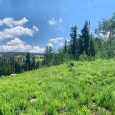 Review photo of Buffalo Pass Dispersed by Morgan Y., November 6, 2020