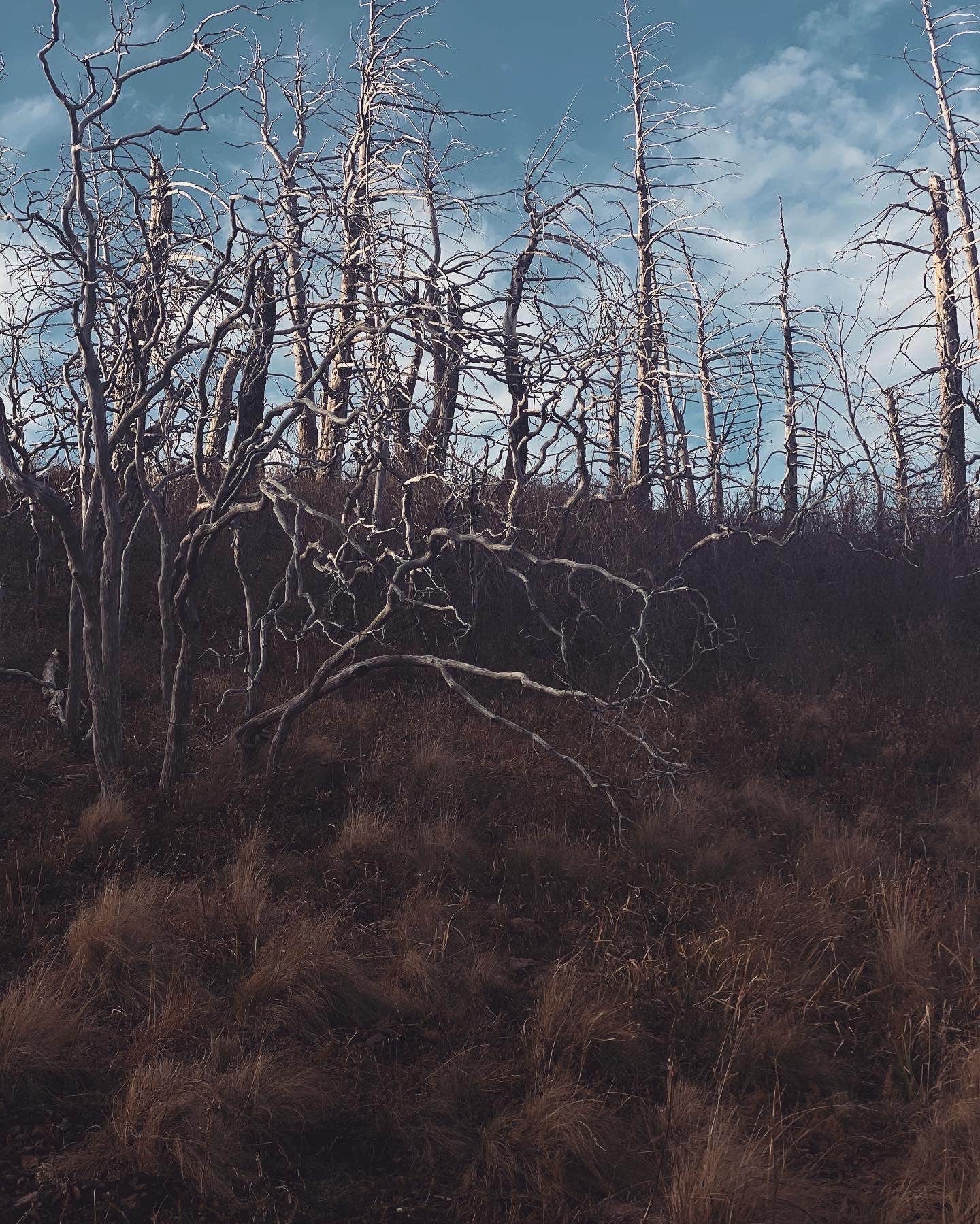 Nature