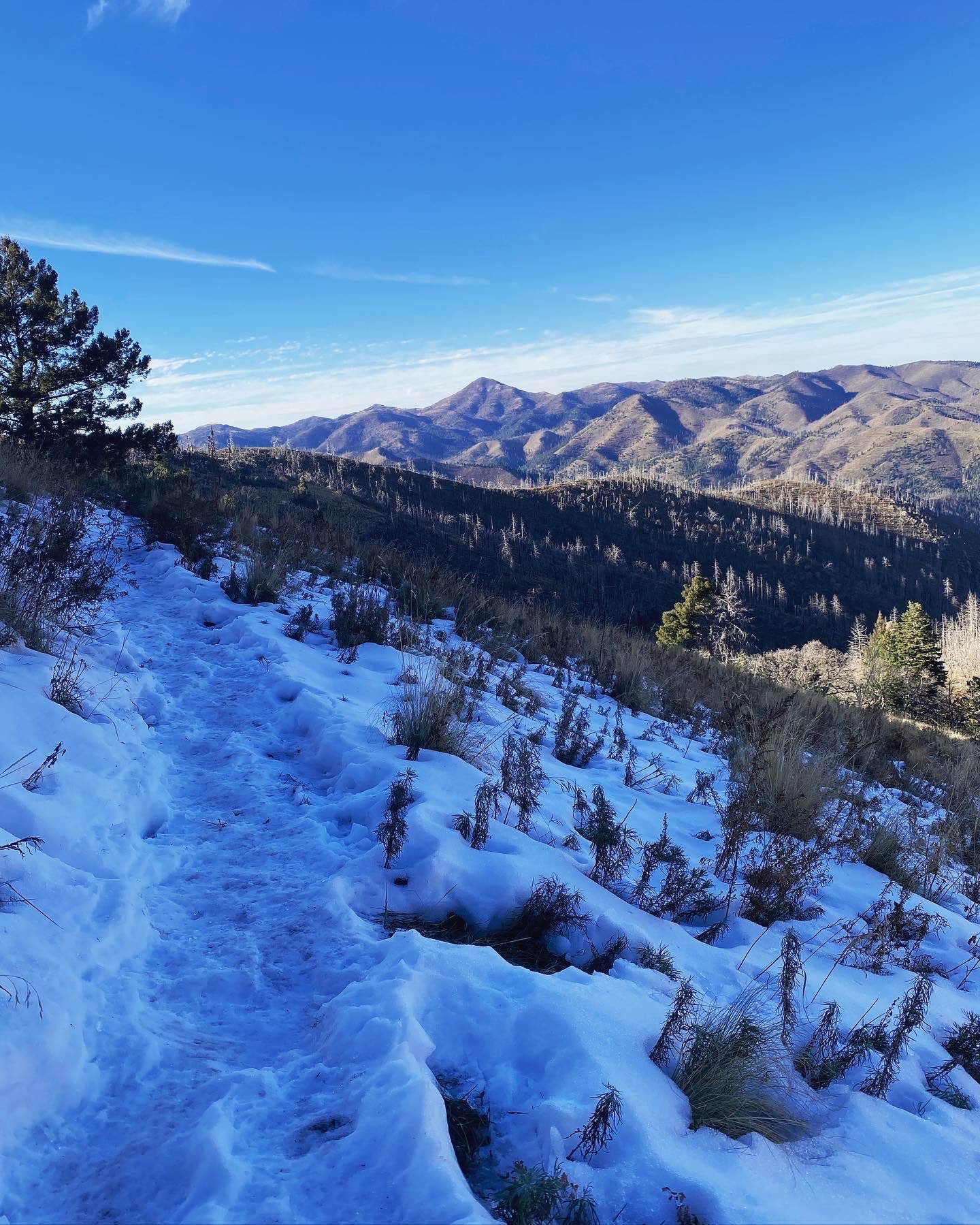 Camper-submitted photo at Skyline Campground near Alamogordo, NM