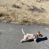 Review photo of Sage Loop Campground — Steamboat Rock State Park by Shelly S., November 6, 2020