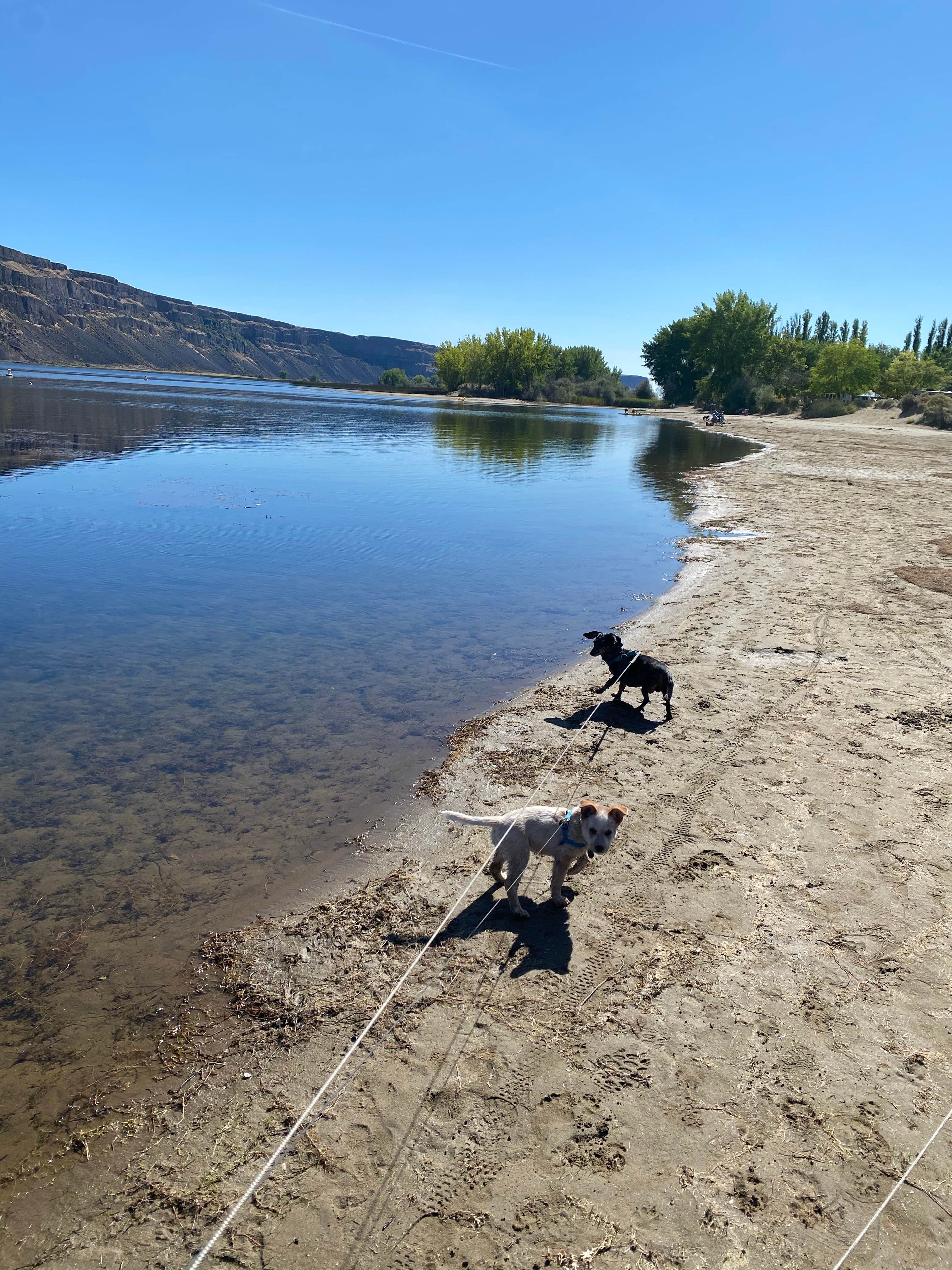 Camper submitted image from Sage Loop Campground — Steamboat Rock State Park - 1