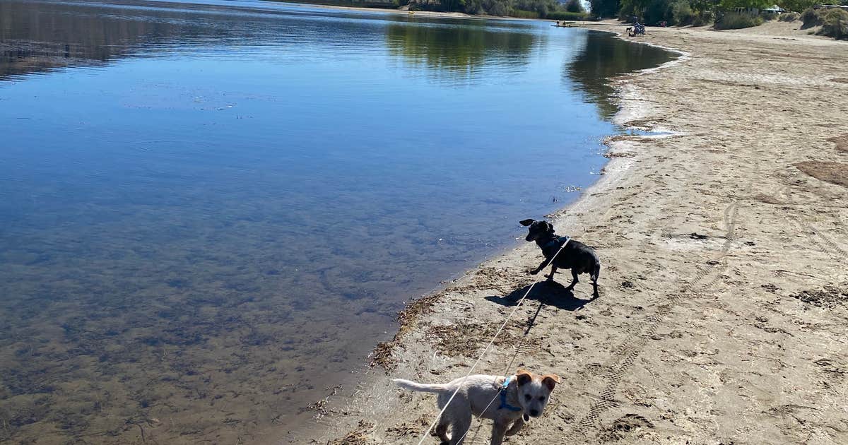 Sage Loop Campground — Steamboat Rock State Park