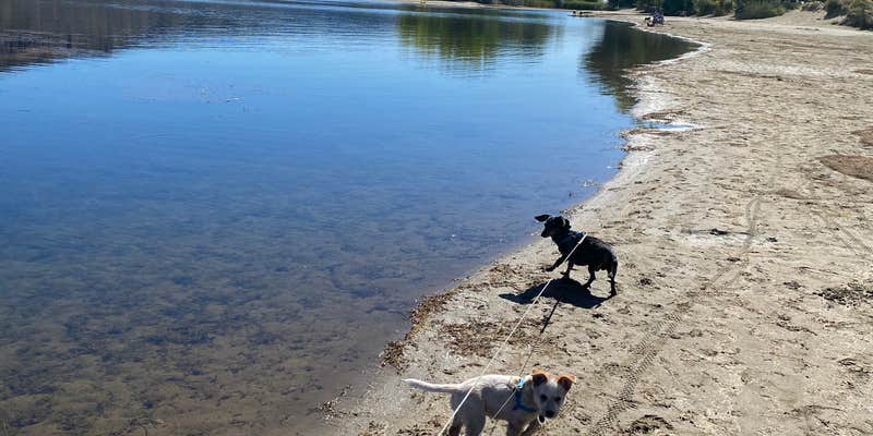Camper submitted image from Sage Loop Campground — Steamboat Rock State Park