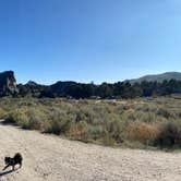 Review photo of City of Rocks Campground — City of Rocks Natural Reserve by Shelly S., November 6, 2020