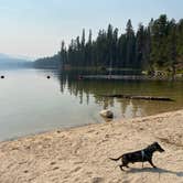 Review photo of Boise National Forest Warm Lake Campground by Shelly S., November 6, 2020