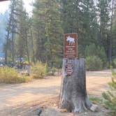 Review photo of Boise National Forest Warm Lake Campground by Shelly S., November 6, 2020