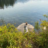 Review photo of Boise National Forest Warm Lake Campground by Shelly S., November 6, 2020