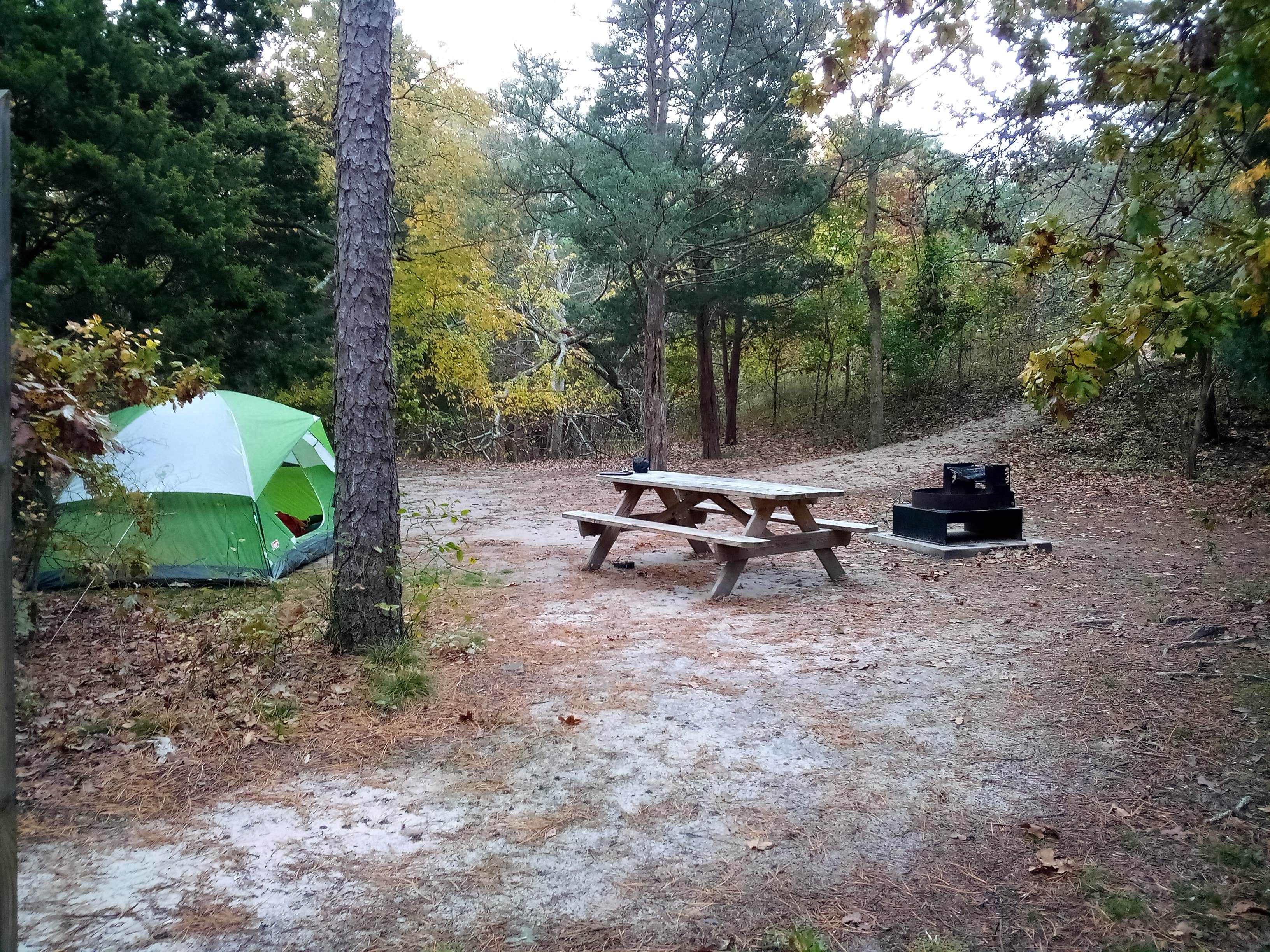 Danielle S.'s photo at Cape Henlopen State Park Campground near Cape May, NJ