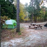 Review photo of Cape Henlopen State Park Campground by Danielle S., November 6, 2020