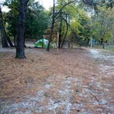 Review photo of Cape Henlopen State Park Campground by Danielle S., November 6, 2020