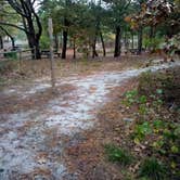 Review photo of Cape Henlopen State Park Campground by Danielle S., November 6, 2020