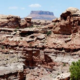 Review photo of Split Top Group Campsite — Canyonlands National Park by Amy S., November 6, 2020