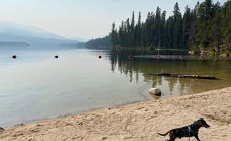 Shelly S.'s photo of camping with pets at Picnic Point (ID) near Payette National Forest
