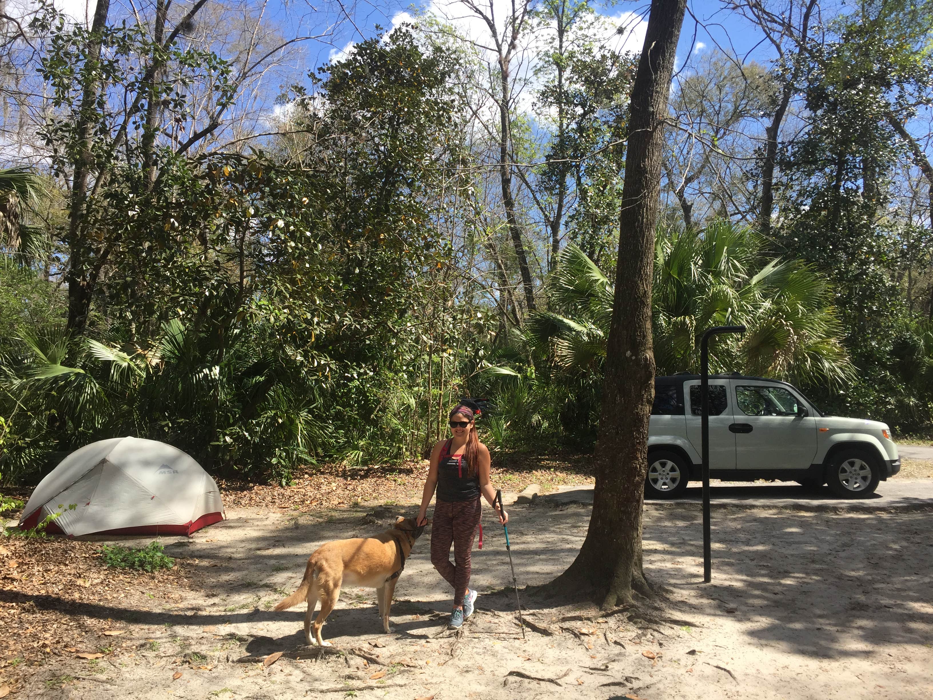 Camper submitted image from Alexander Springs Recreation Area - 2