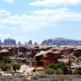 Review photo of Island In The Sky (Willow Flat) Campground — Canyonlands National Park by Amy S., November 6, 2020