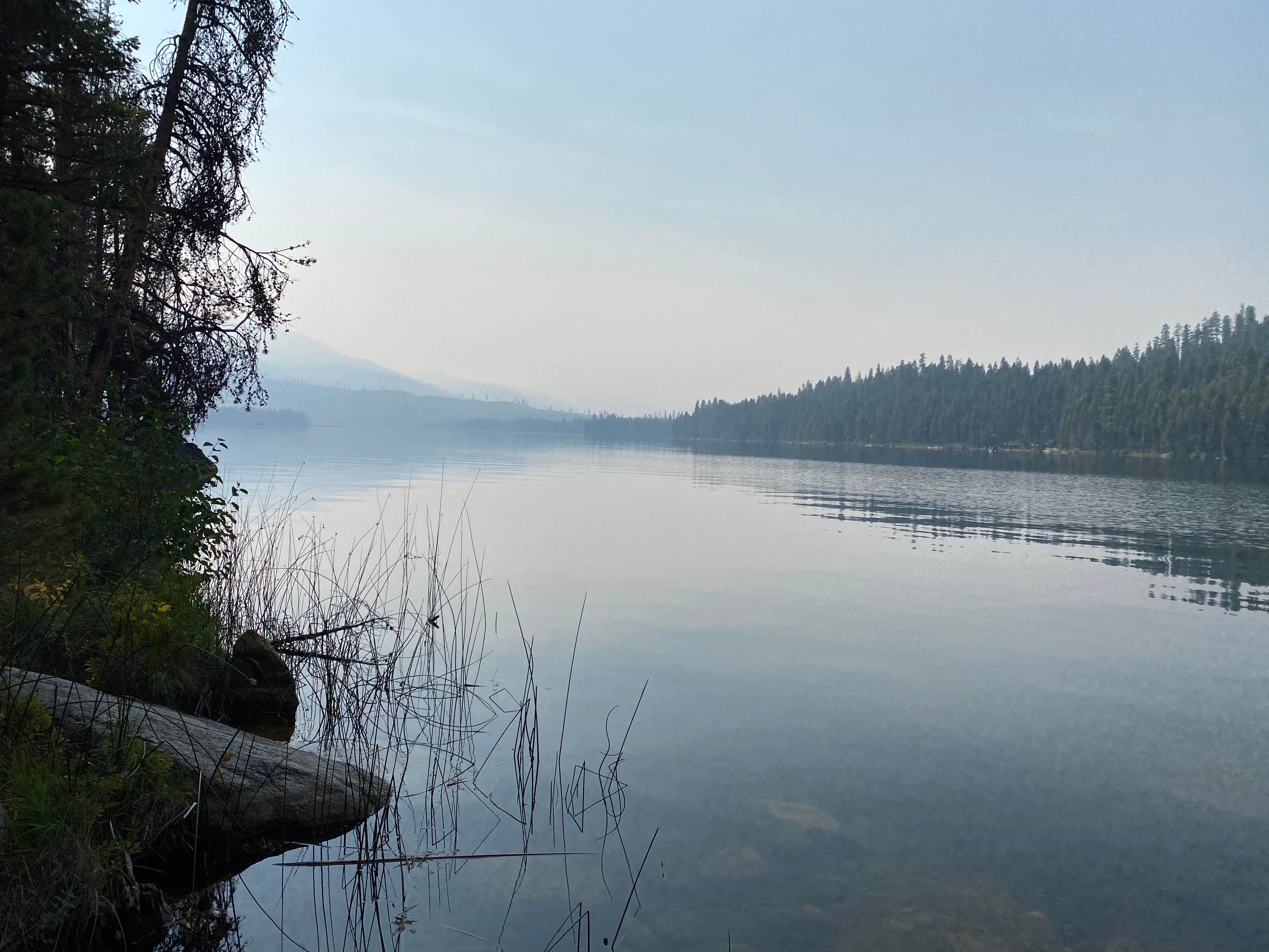 Camper submitted image from Boise National Forest Warm Lake Campground - 3