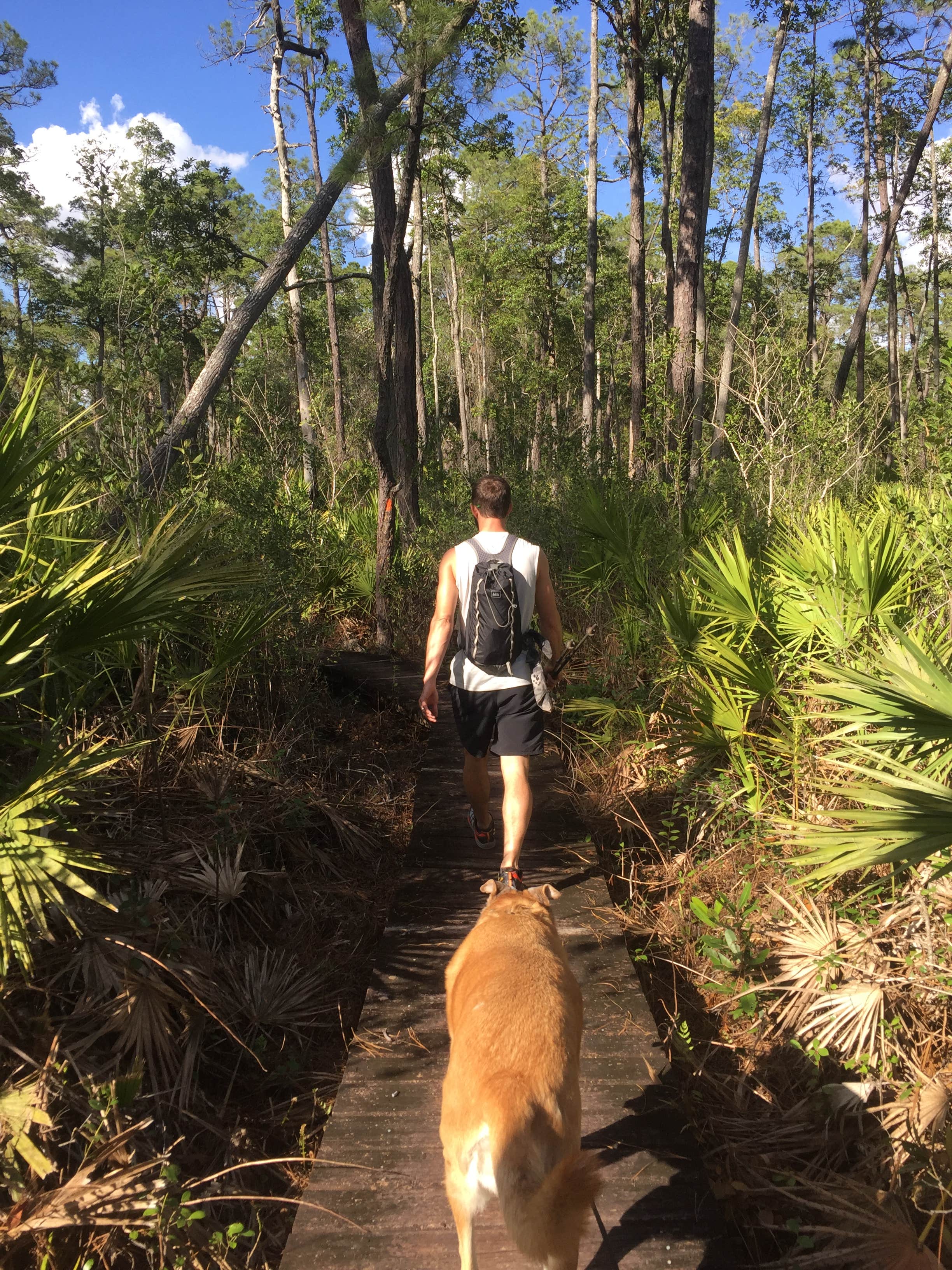 Camper submitted image from Alexander Springs Recreation Area - 4