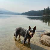 Review photo of Boise National Forest Warm Lake Campground by Shelly S., November 6, 2020