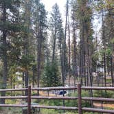 Review photo of Boise National Forest Warm Lake Campground by Shelly S., November 6, 2020