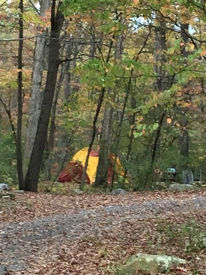 Hawk Recreation Area Campground | Wardensville, WV