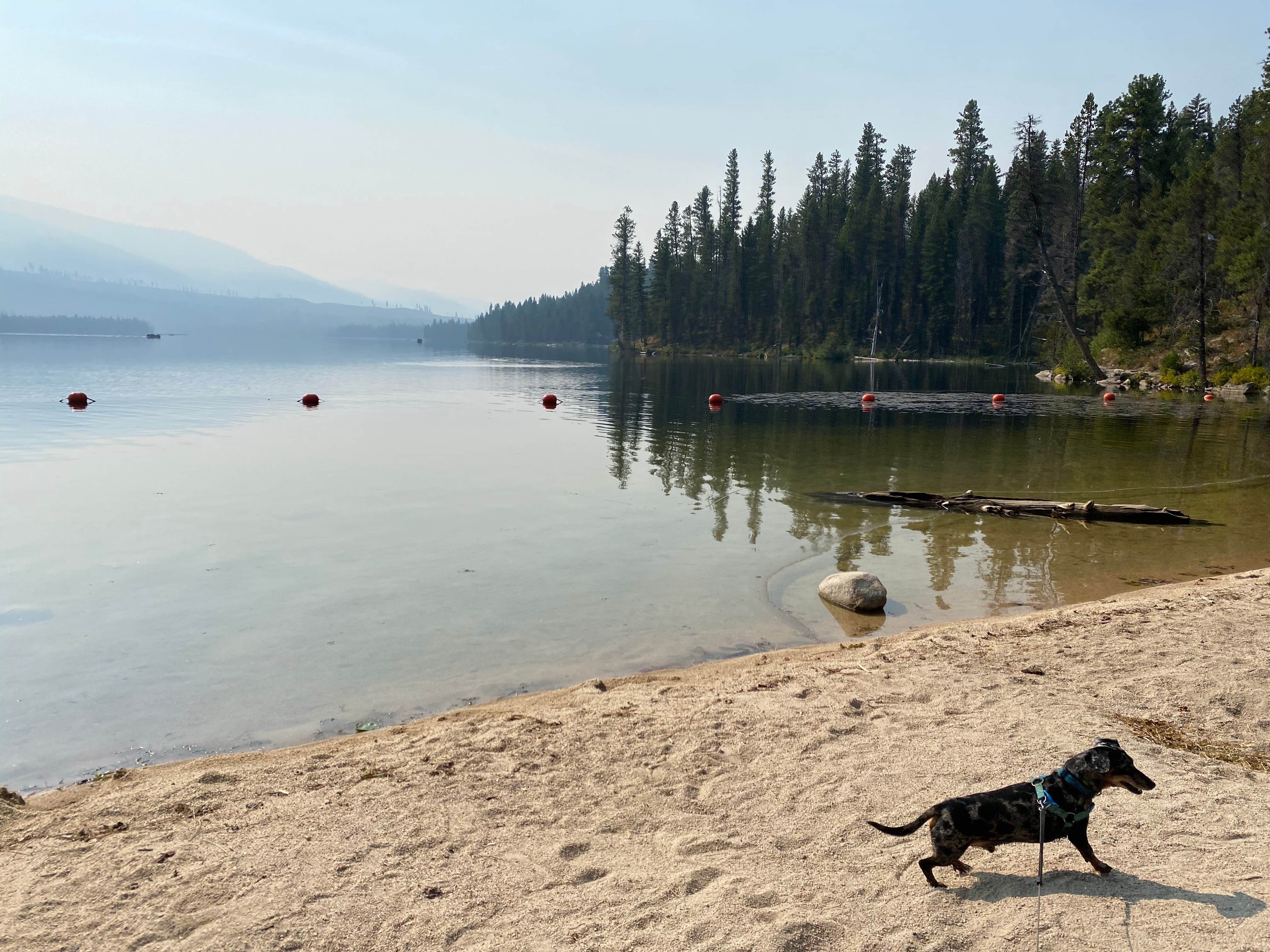 Camper submitted image from Boise National Forest Shoreline Campground - 5