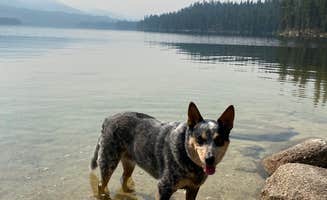 Shelly S.'s photo of camping with pets at Boise National Forest Shoreline Campground near Payette National Forest