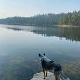 Review photo of Boise National Forest Shoreline Campground by Shelly S., November 6, 2020